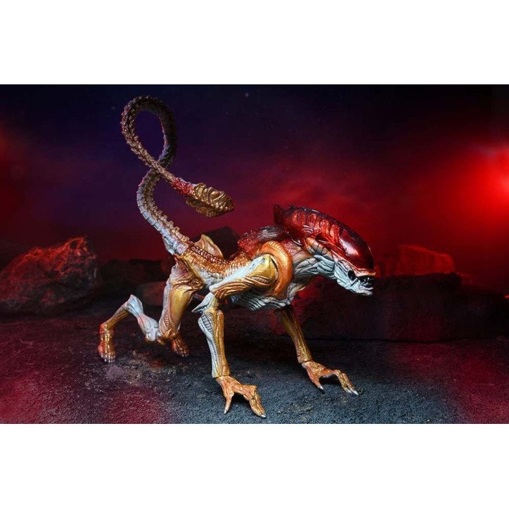 Alien - Figurine articulée Xénomorphe