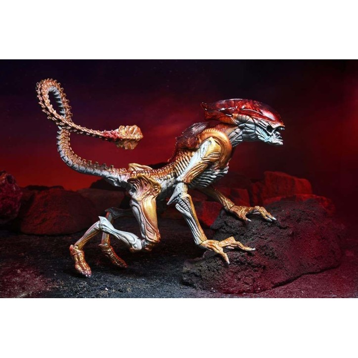 Alien - Figurine articulée Xénomorphe