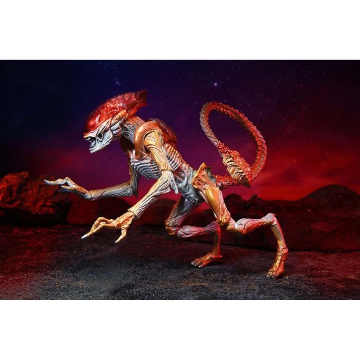 Alien - Figurine articulée Xénomorphe