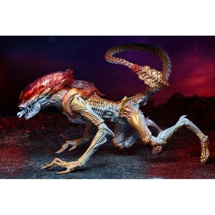 Alien - Figurine articulée Xénomorphe